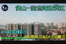 金地海逸悦江_佛山|首期5万(减)|@1400蚊呎|香港高铁60分钟直达|香港银行按揭 (实景航拍)